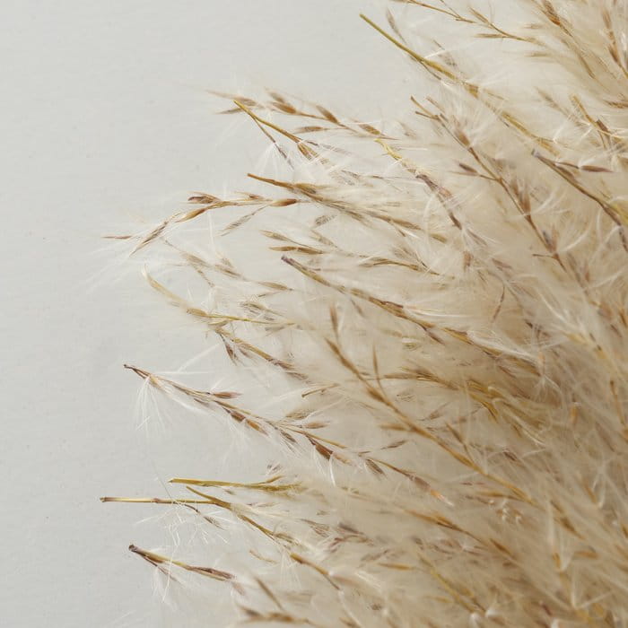 Detailbild-_S_M1myT-large.jpg