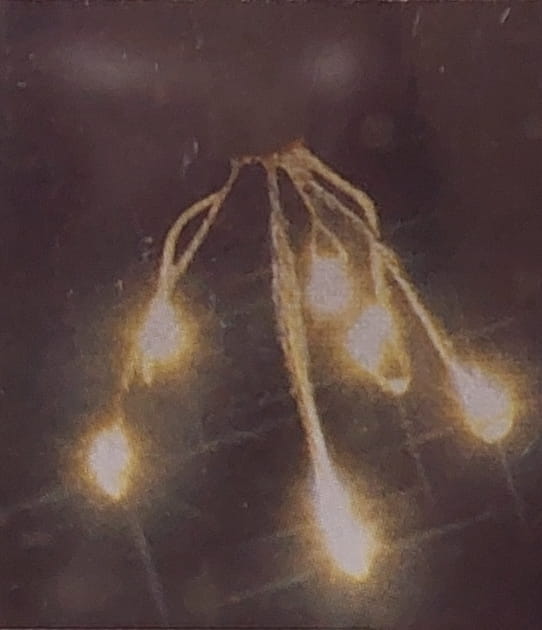 LED-70-lampki.jpg