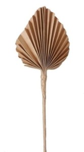 Freisteller_Hauptbil-mbpas-U4-large-2.jpg
