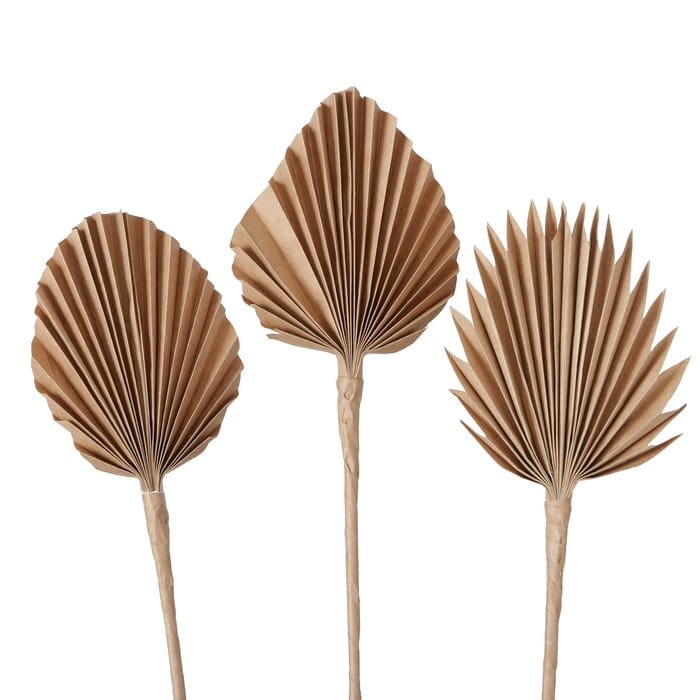 Freisteller_Hauptbil-mbpas-U4-large.jpg