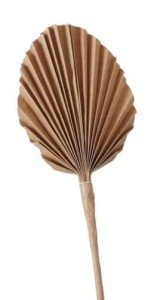 Freisteller_Hauptbil-mbpas-U4-large-1.jpg