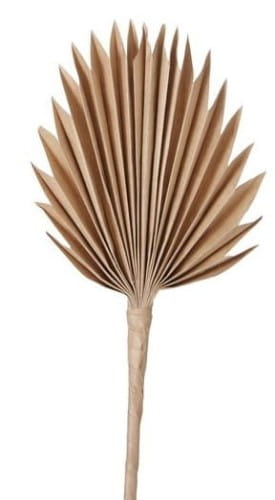 Freisteller_Hauptbil-mbpas-U4-large-3.jpg