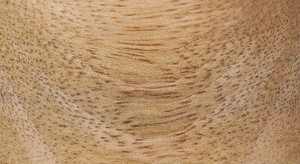 A93000220_ASSORTED_001_12.jpg