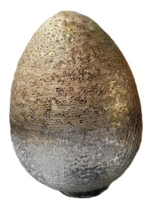 20240228_1135111.jpg