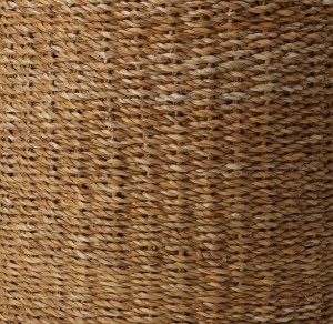 pufa-morska-trawa