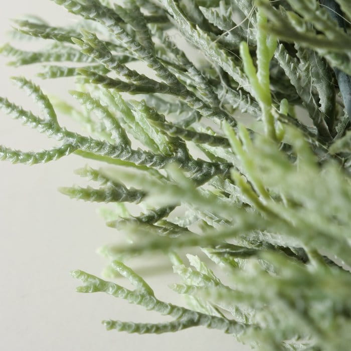 Detailbild-MDl_-PaH-large.jpg