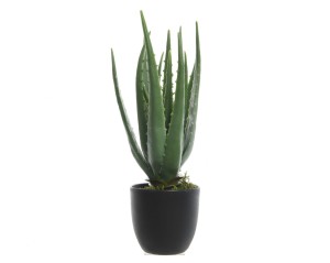 Sztuczny kwiat w doniczce aloes 35 cm
