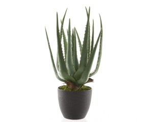 Sztuczny kwiat w doniczce aloes 40 cm