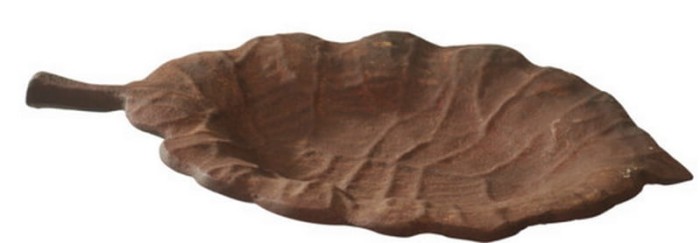 patera-lisc-jesien