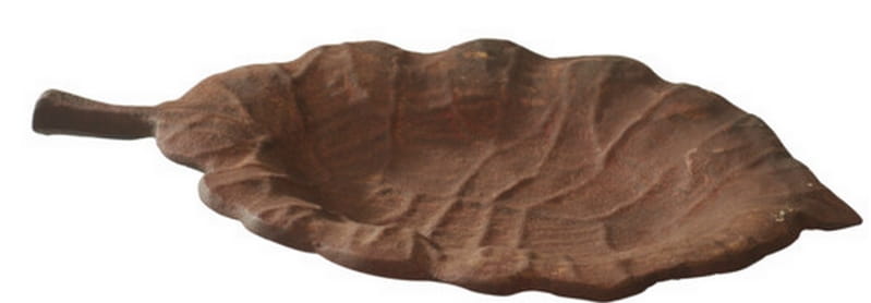 patera-lisc-jesien