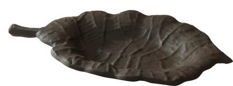 patera-lisc-jesien
