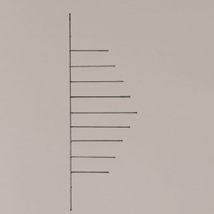 girlanda-cedru-zielona