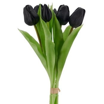 tulipan-cebulka