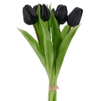tulipan-cebulka