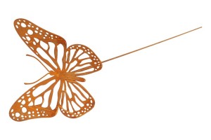 motyl-pik-ogrodowy
