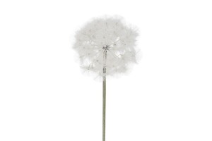 Sztuczny kwiat – czosnek dmuchawiec 87 cm