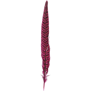 dekoracyjne-pioro-florystyczne