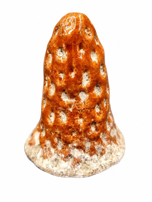 grzyb-dekoracyjny-pik