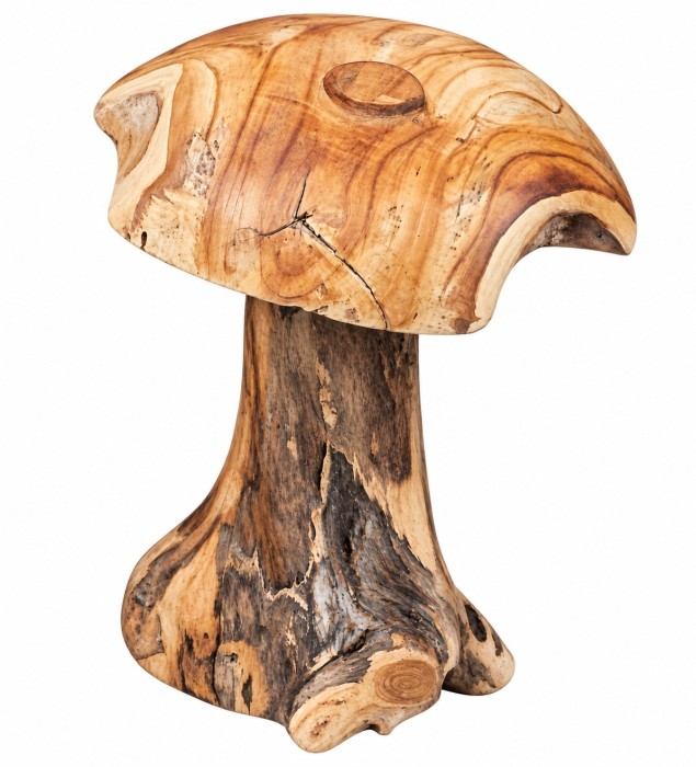 grzyb_teak.jpg