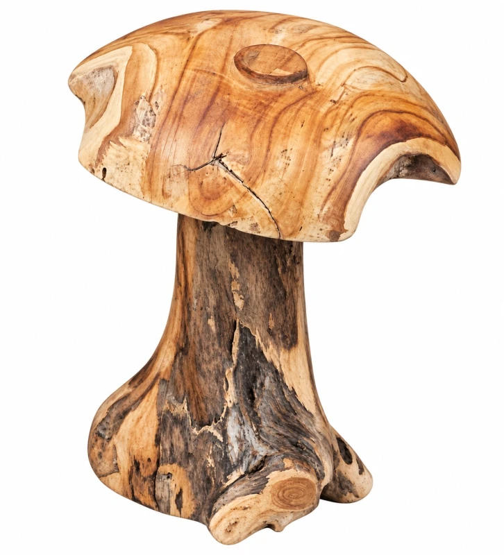 grzyb_teak.jpg