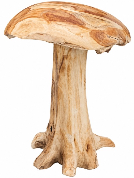 grzyb_drzewo_teak.jpg