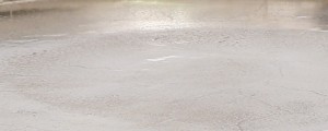 WF2307d3.jpg